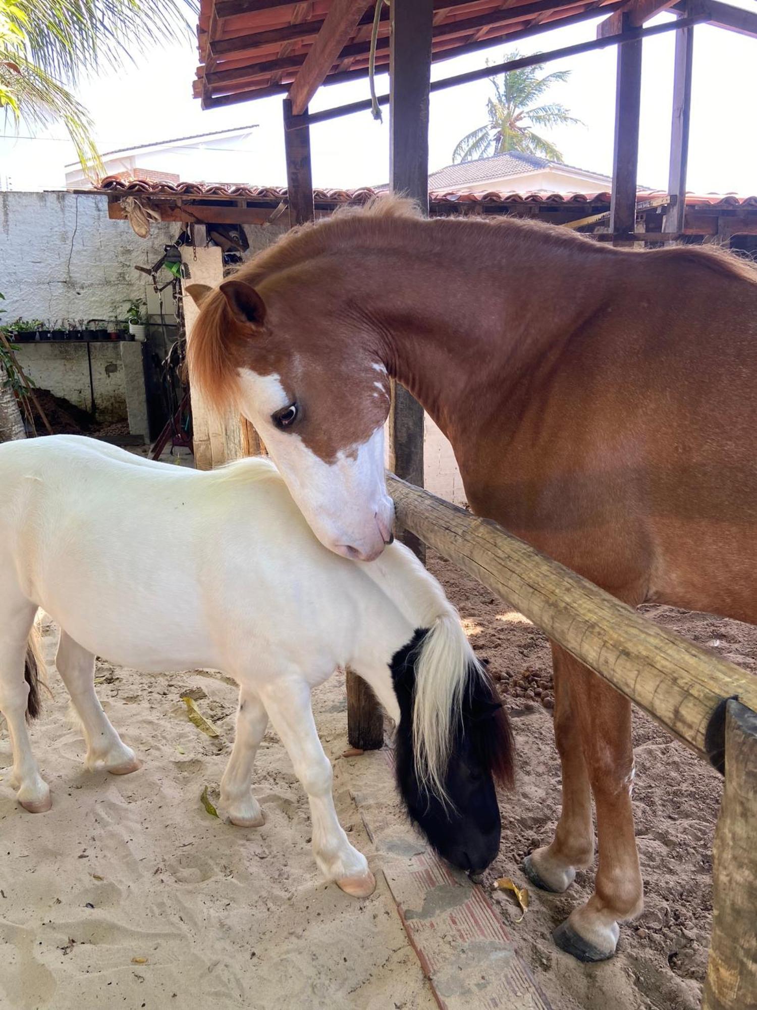 Chacara Do Alemao Villa Flecheiras Eksteriør bilde