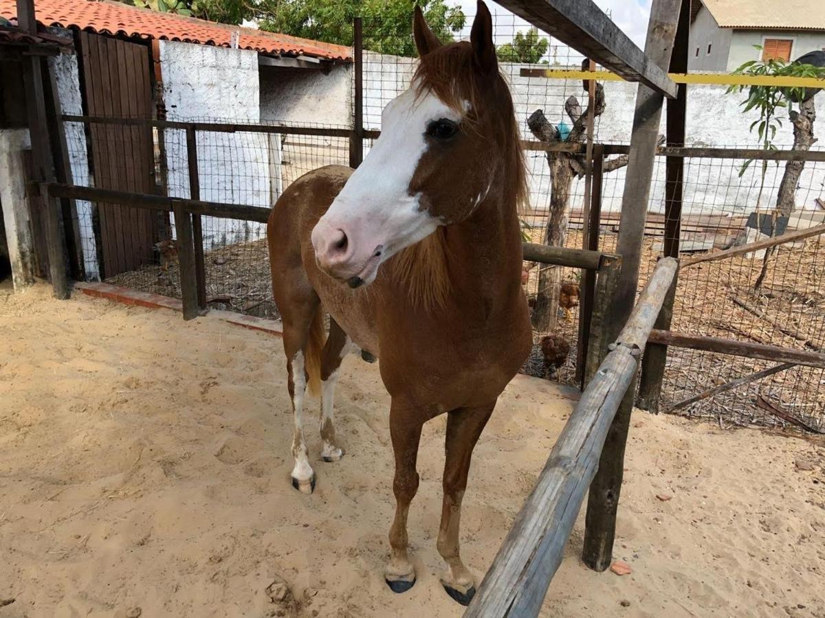 Chacara Do Alemao Villa Flecheiras Eksteriør bilde