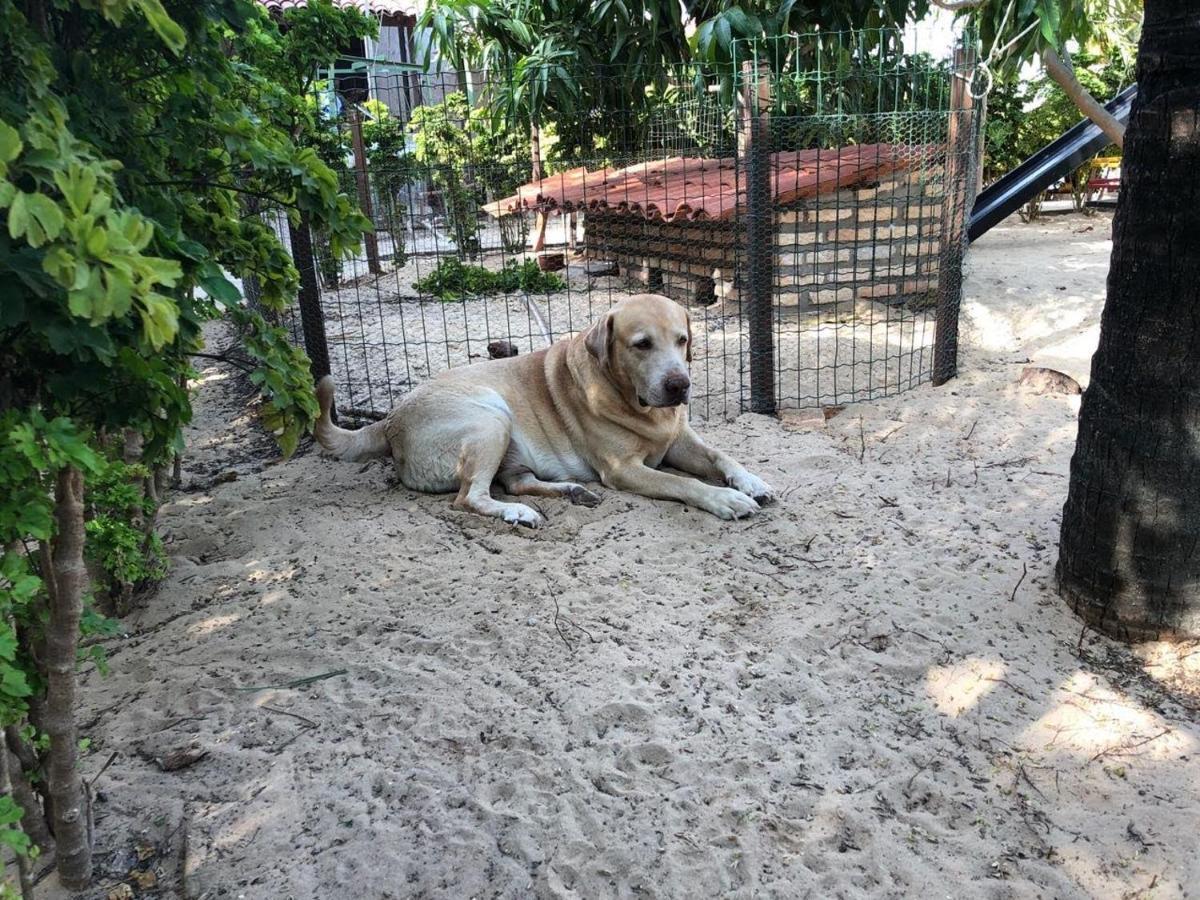 Chacara Do Alemao Villa Flecheiras Eksteriør bilde