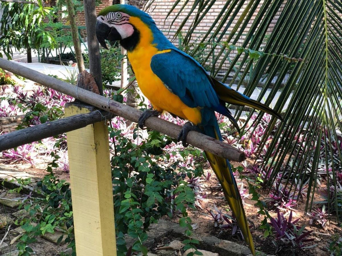 Chacara Do Alemao Villa Flecheiras Eksteriør bilde